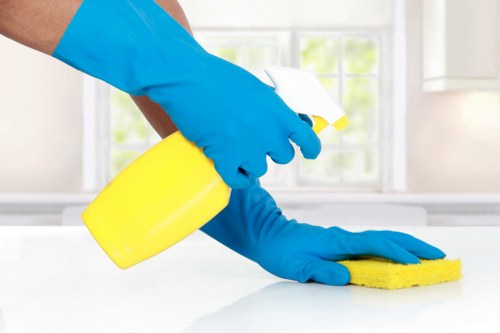 Window cleaning service for a Streatham home with clear glass and tidy frames