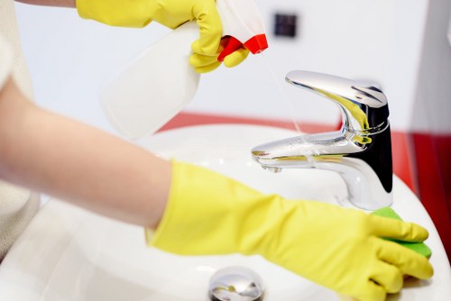Professional carpet cleaning for a Streatham living room
