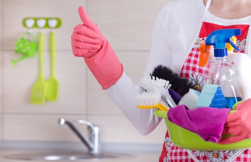 Domestic cleaner working in a Streatham home lounge