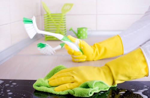 Deep cleaning pet urine stains from upholstery in Streatham