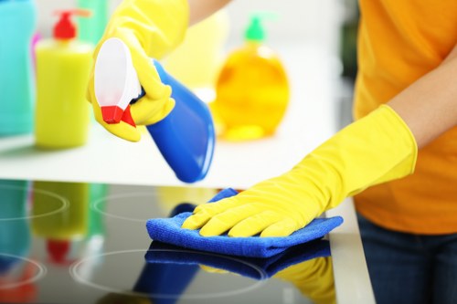 Detailed kitchen and bathroom deep cleaning in Streatham