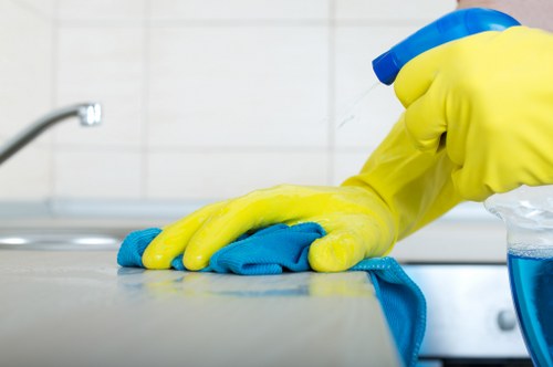 Professional upholstery cleaning for a sofa in a Streatham home