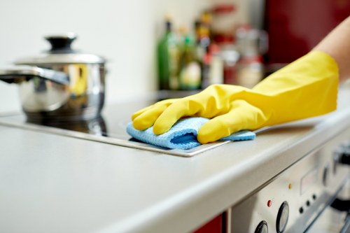 Local cleaners working in a Streatham residential property