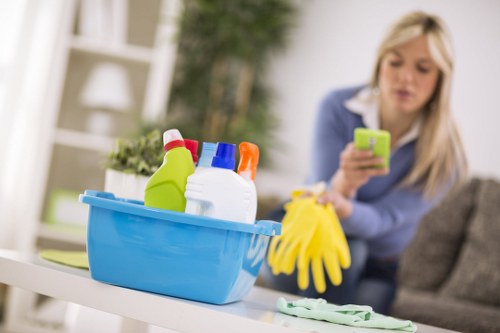 Local odour removal service for a Streatham flat after pet accidents