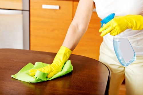 Upholstery and carpet stain cleaning for a Streatham property
